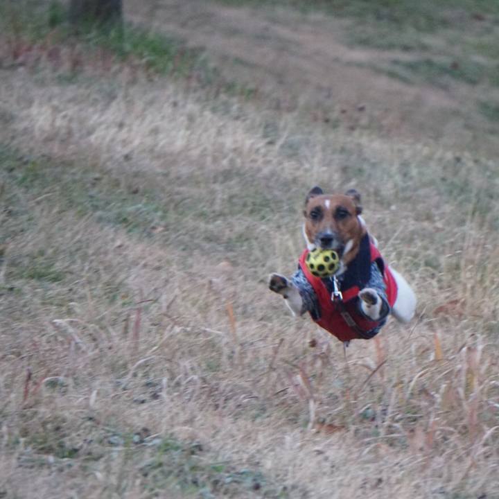 23b5367b 4b0e 4320 90e3 47b17e2f41f2 1517871473232