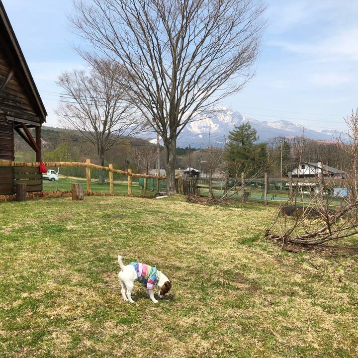 23b5430c 577d 4ad1 809e ad826e319e6d 1524458114487