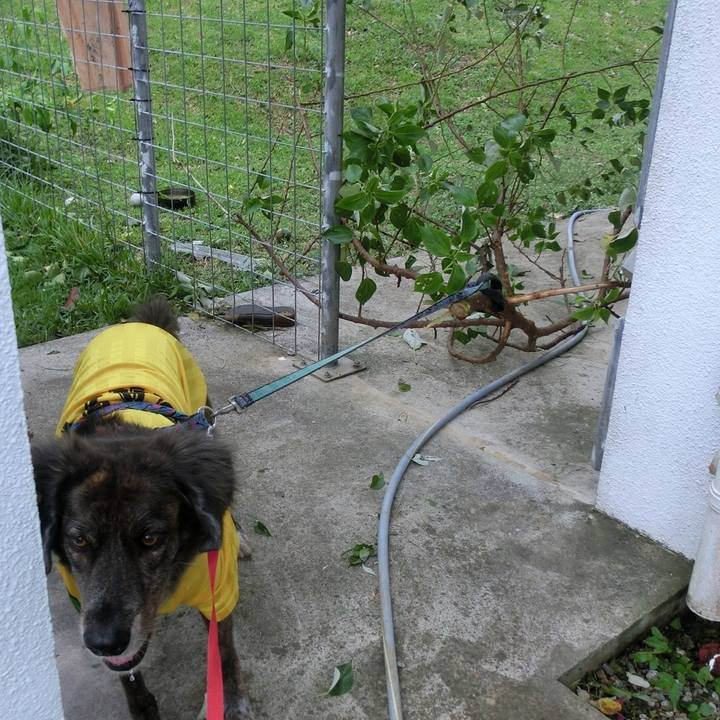 23b58356 e618 466a aa76 b1daa83af7fa 1664287525944