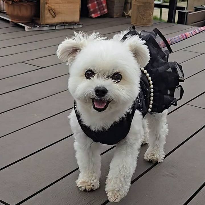 23b5a60f b4a4 4123 b3e5 13405dc82f14 1760154702456