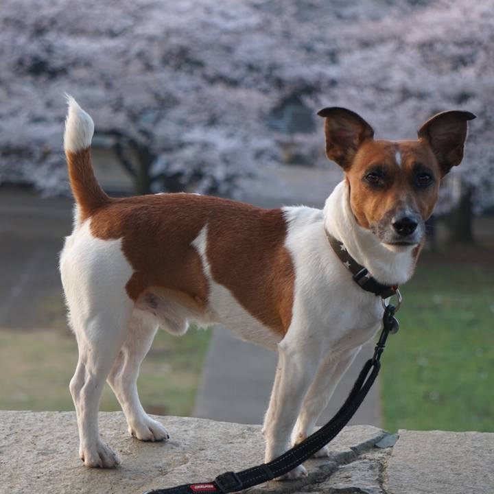 23b5c41a 9677 49af 9fbb fe1d2acc28af 1522104407304