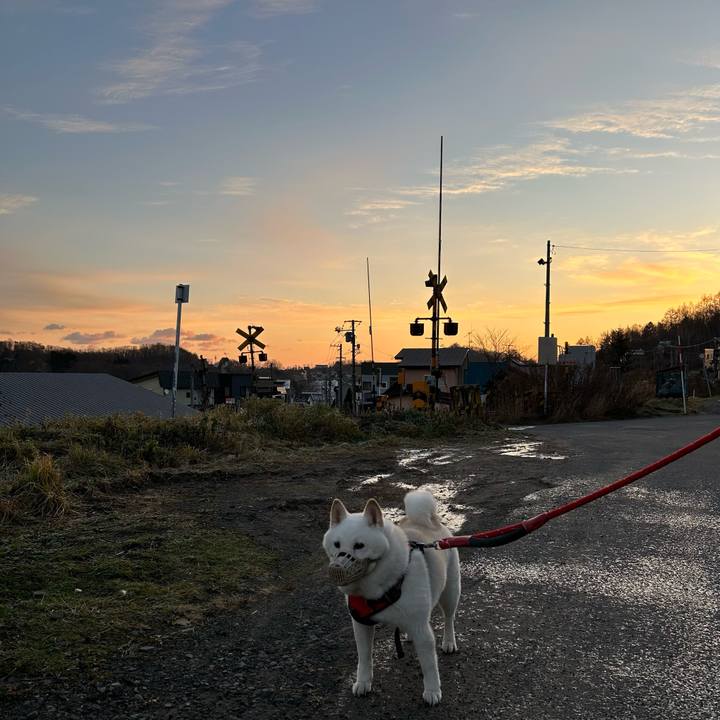 23b5d7fa 4c47 4adb bf91 27b2e6abf4c6 1764627952062