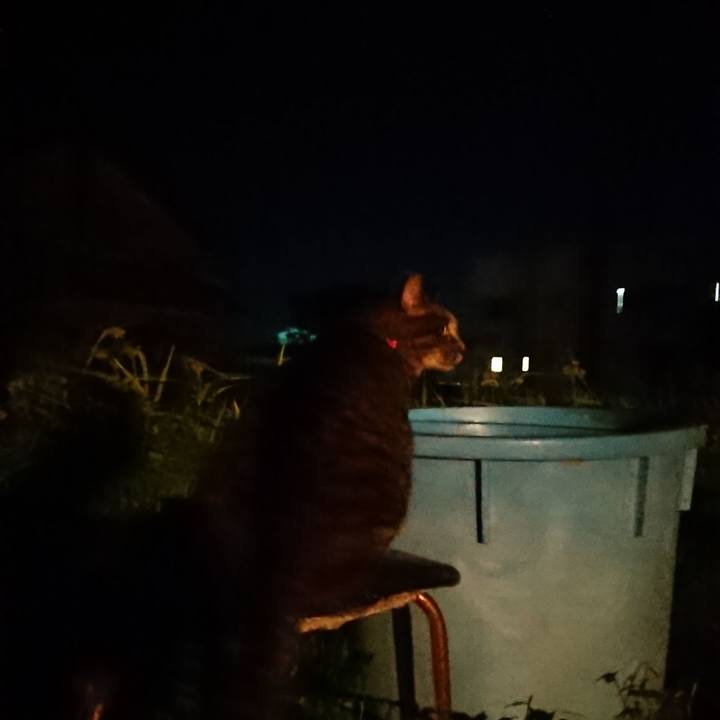 23b5e476 05f3 4080 beed 6a718a654631 1659352143773