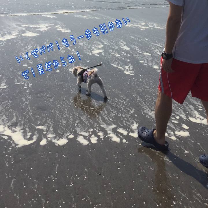 23b601ba ac46 4ead b573 ca050d1d1430 1525947092958