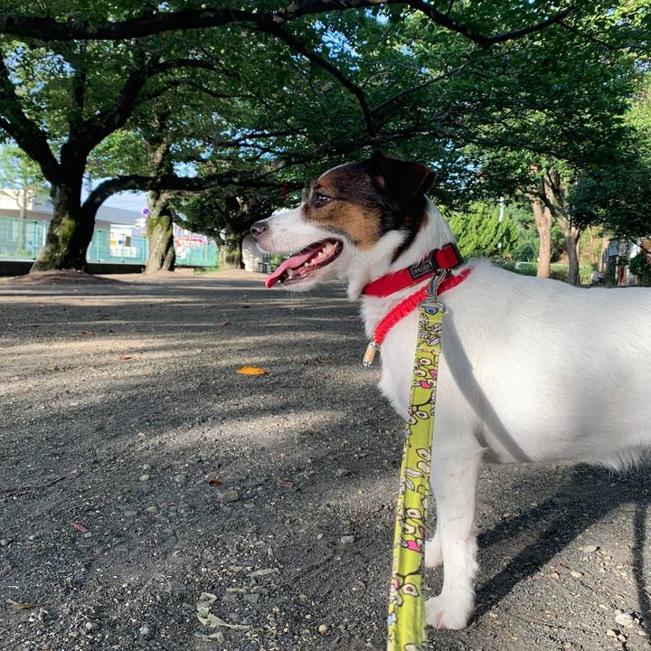 23b619a4 9e2d 4068 81db 70d263a3034e 1565562094202