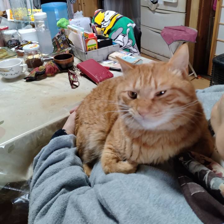 23b64026 0f76 478b 808a 1df79d192ca0 1671960747530