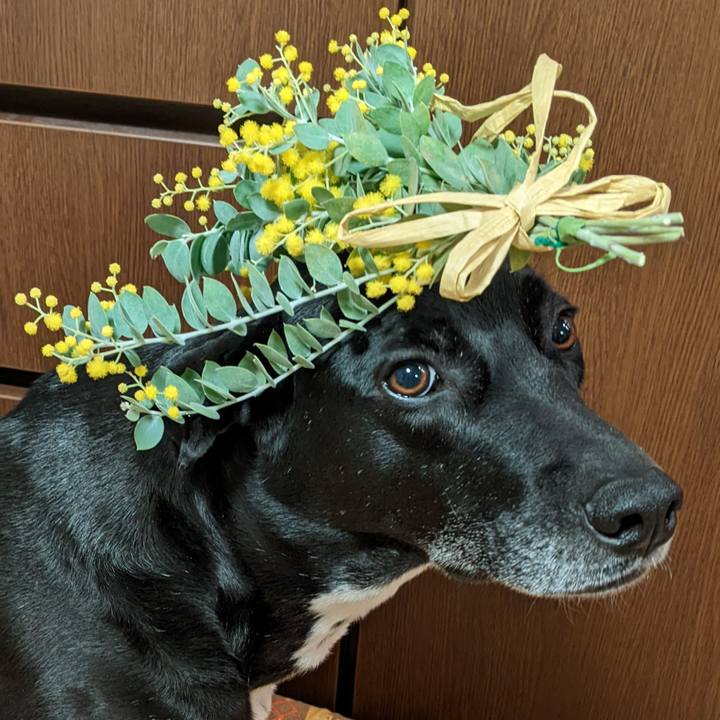 23b6749c 6dae 43fd bfbc 9a79d211b365 1647513698100