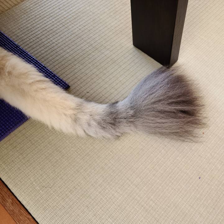 23b68cf1 bd3f 4a69 88d3 9dc498a40c97 1601425319066