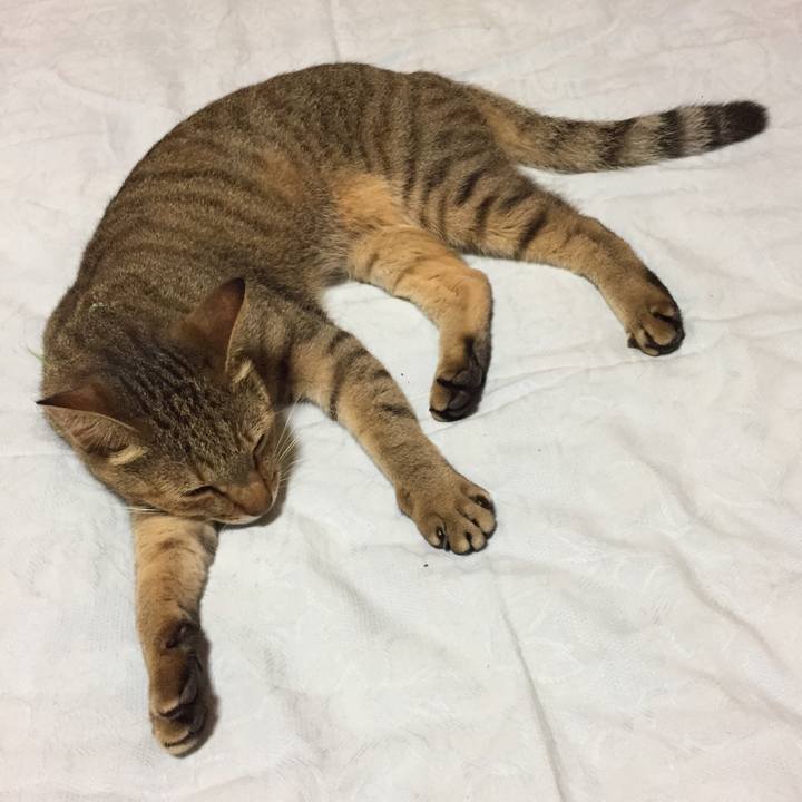 23b69d85 5123 4911 8f57 cbf84a333c78 1535984074231