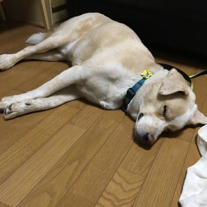 23b7206c 3943 4412 83de 756d04773c23 1534512789552