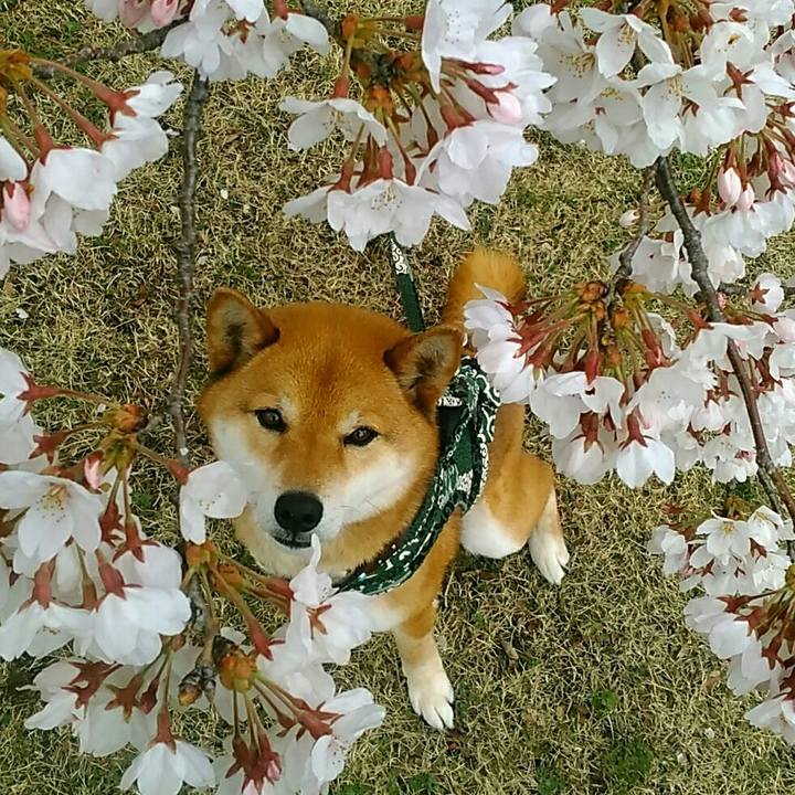 23b7755f 1c9e 4d24 b32e 86c137eb2c2f 1553996416623