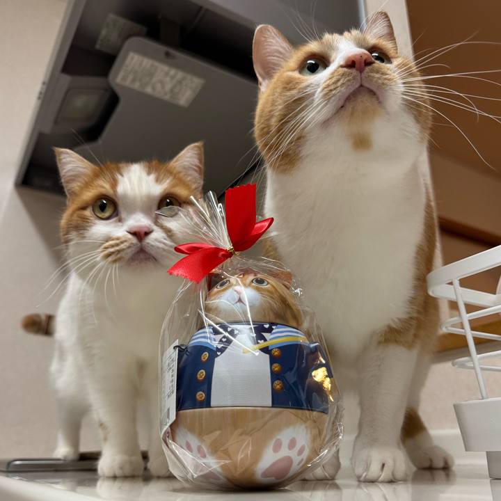 23b78485 64af 4516 acce 5d7d0c5149ac 1769418682076