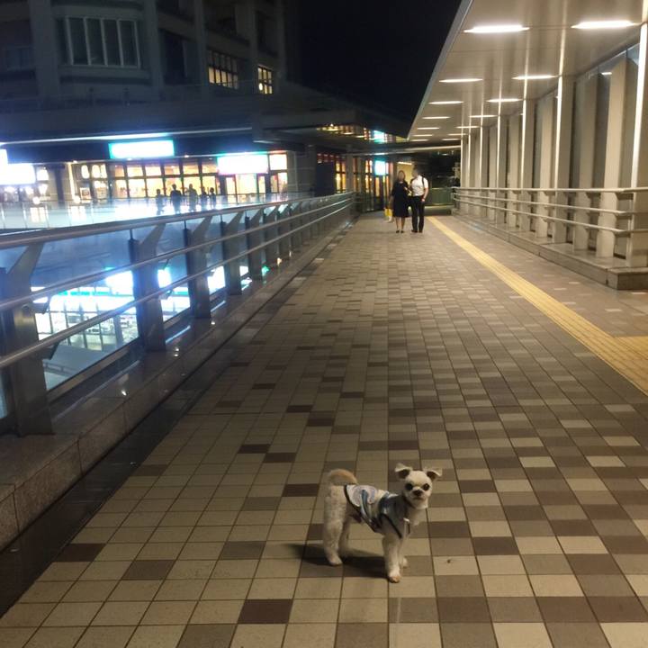 23b78b01 fbe5 457b aa7c ff1aca7110b5 1537700811034