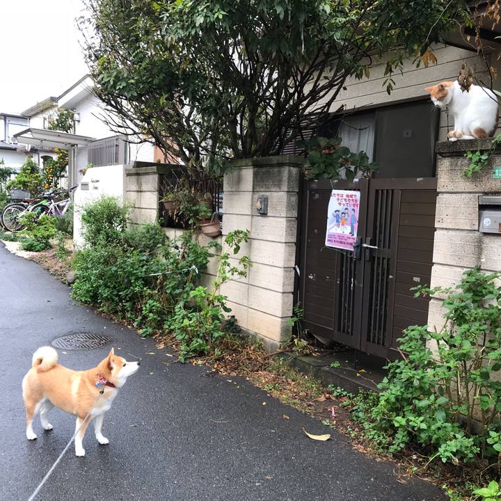 23b7c241 c17f 4eb2 b273 49c2e332e01b 1540645721570