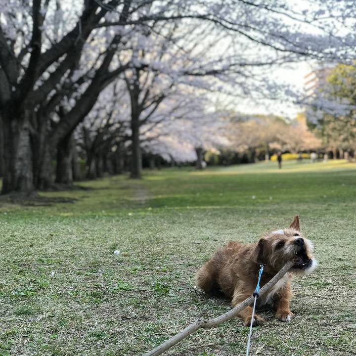 23b7c8b8 63b6 4779 b262 0a2be94d7ba3 1585126572102