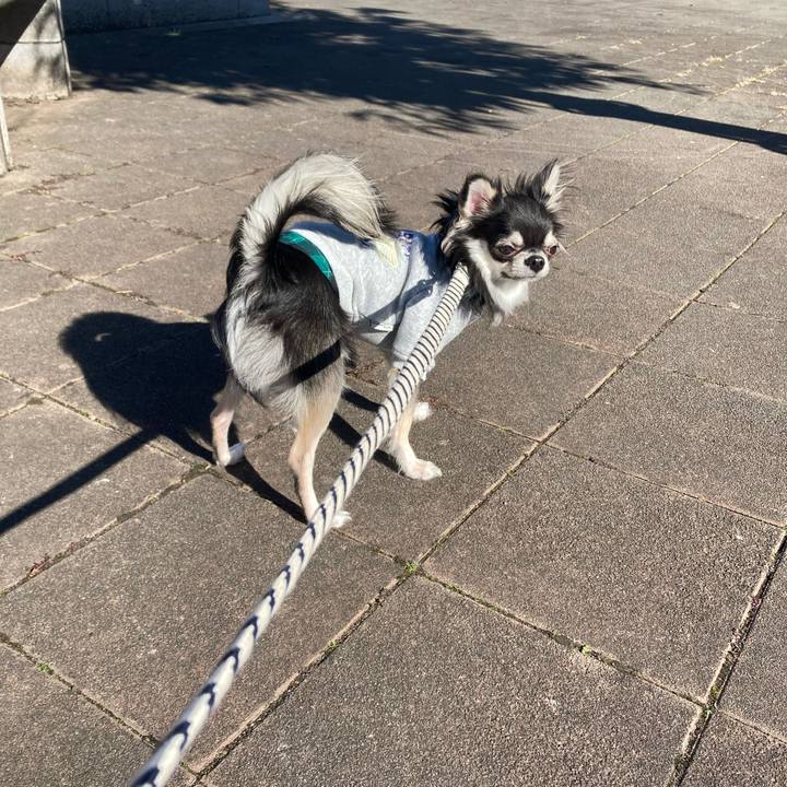 23b80537 1de0 45d7 b91e 05fd6295c4b2 1606538060092