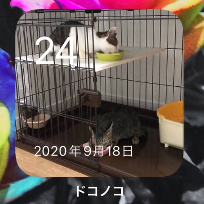 23b845c6 d3d5 449c a734 2cb930316bea 1632436106460