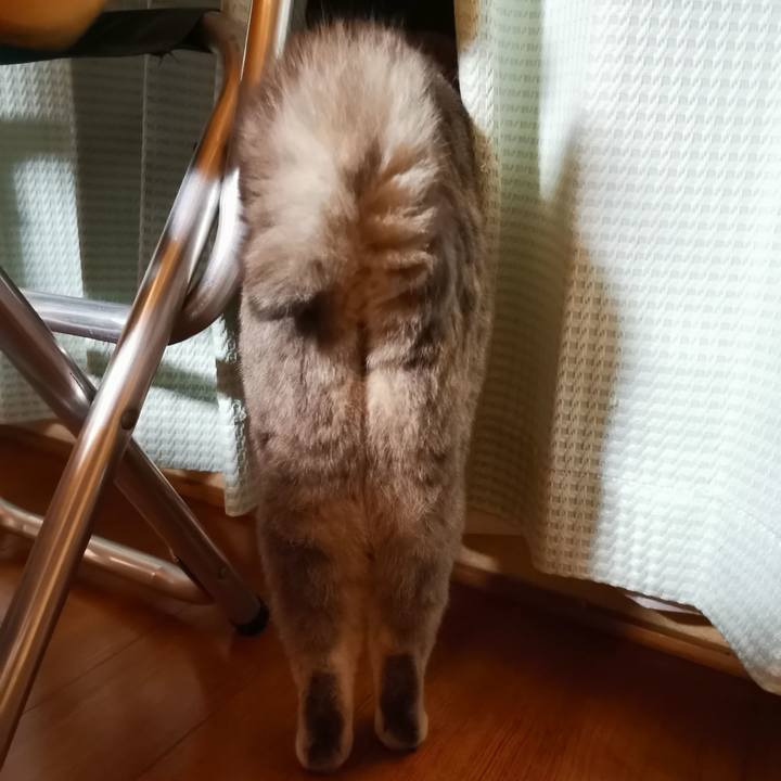 23b8b41b 81b8 4a3c 976f effce44a868f 1602473430047