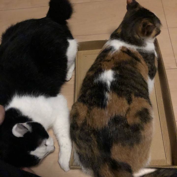 23b90102 d772 43d3 bd49 8dc5d87c96ad 1594229239422