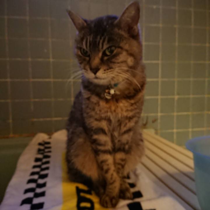 23b926b8 41ff 4b8f 9ff1 f01a66fea39f 1577778383901