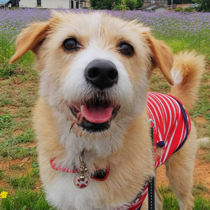 23b9441c b3dc 4459 96aa 435812d795ce 1525231235771