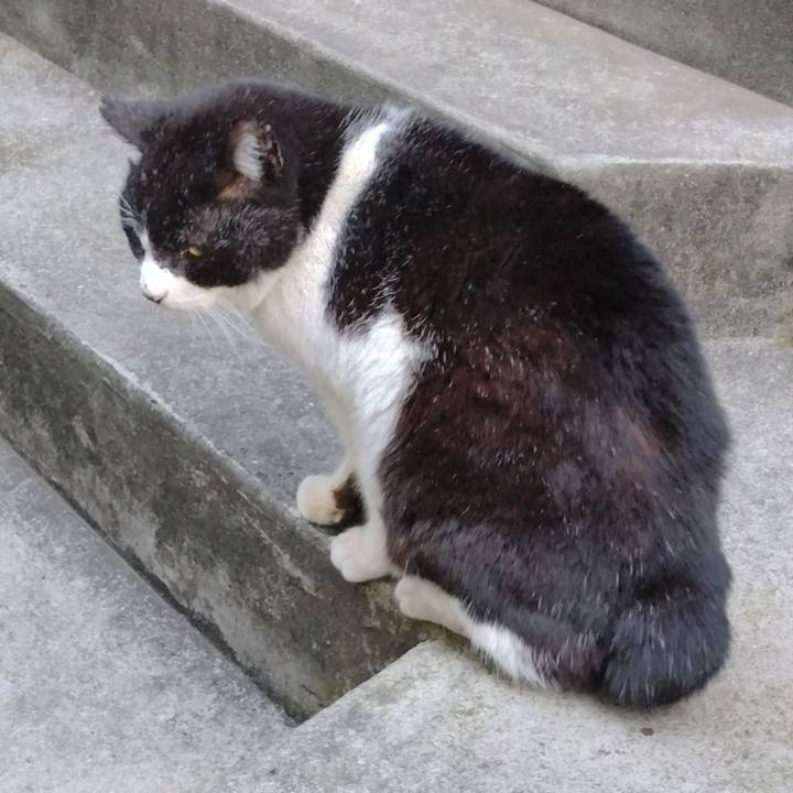 23b957ed bf13 44b3 a6c5 652b3cc0b2e0 1706787797036