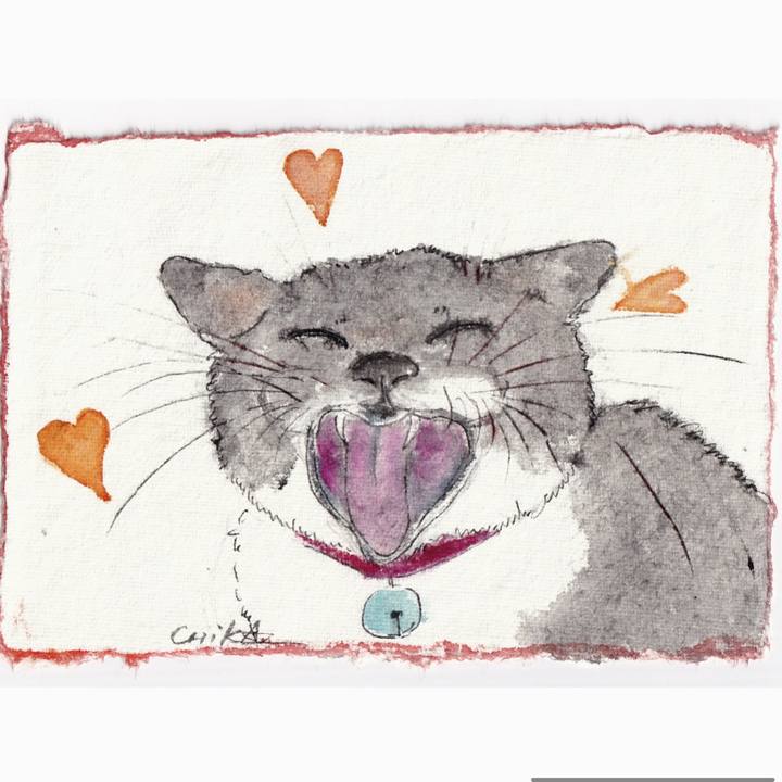 23b964a8 d38d 47b0 bdc3 d5eaa2ddc779 1762945277500