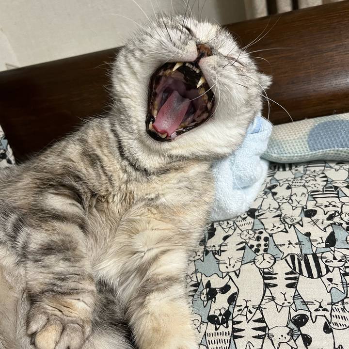 23b9708d b9a7 42db ba4d 30a413e47924 1752291613144