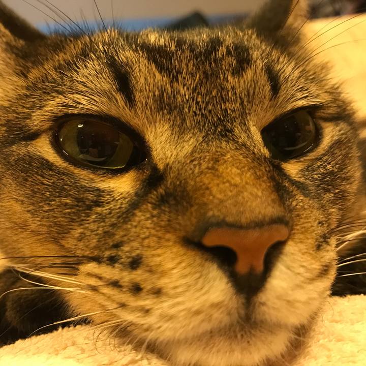 23ba08a7 cacf 4c07 bb40 c96d2d69c6e5 1510423911966