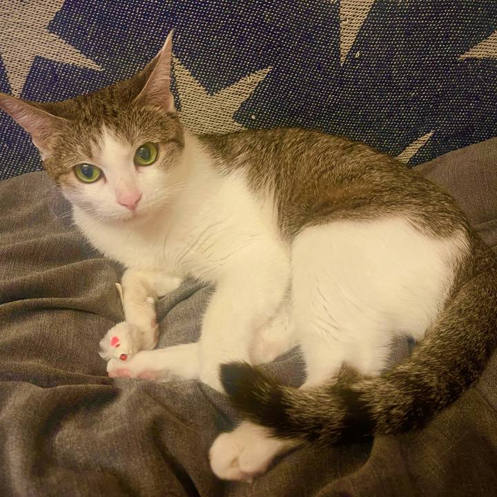 23ba0ff1 f5c8 4526 b445 377aca12d85f 1627904770054