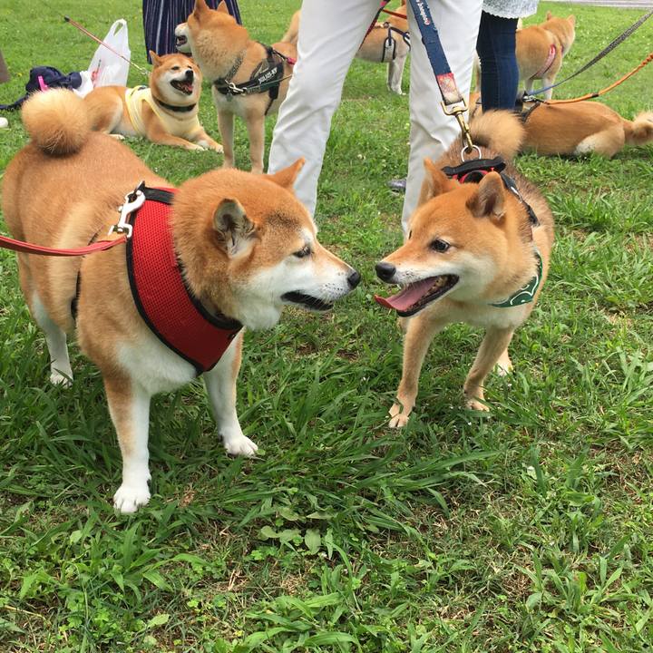 23ba2760 409b 48e3 9882 a8ca3390df9f 1625965181441