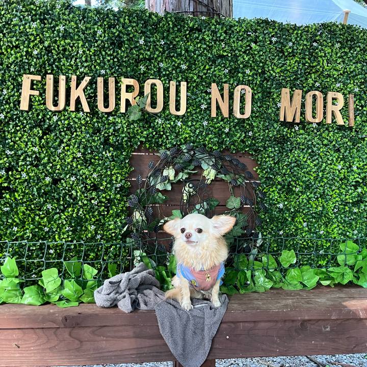 23ba7298 d223 427c a8ff 9e248903e246 1755242061400