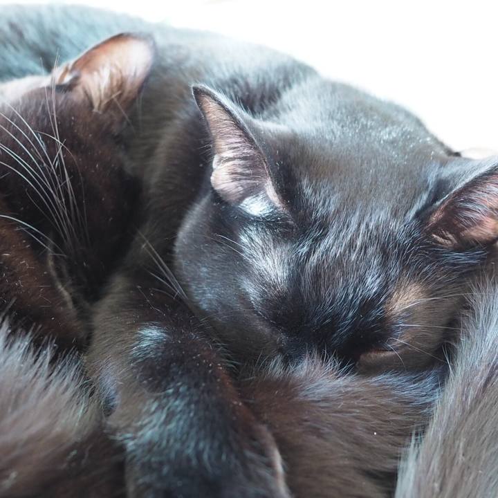 23ba82bf da9d 4fc1 97fd cfec53f0d98a 1542447837654