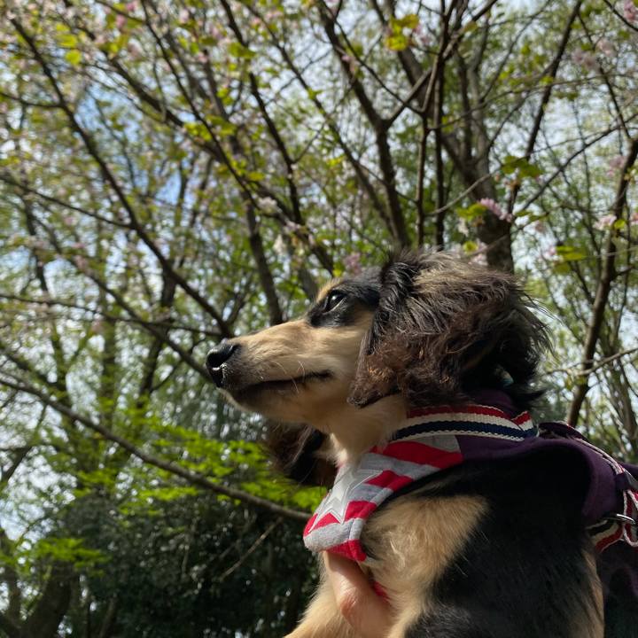 23ba8b50 174e 4573 8807 9e8fd79f35f1 1680832269254