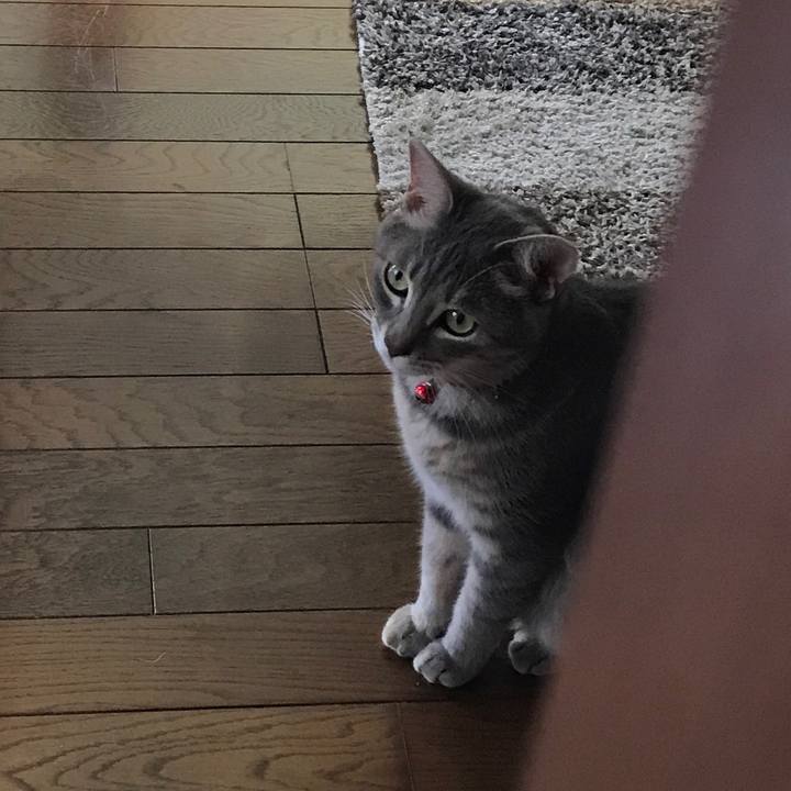 23ba9abd d196 48e3 888f 1d5a158a0424 1593751443225