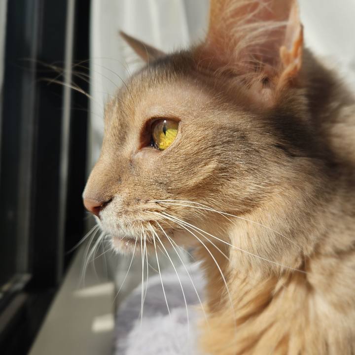 23baceb3 5b2d 4b61 8db0 270bf9e8fd48 1773446991512