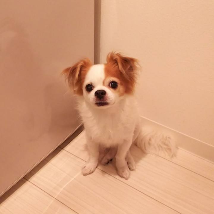 23badd7e a67b 42c4 96b8 81f3d2f055f0 1694235332809