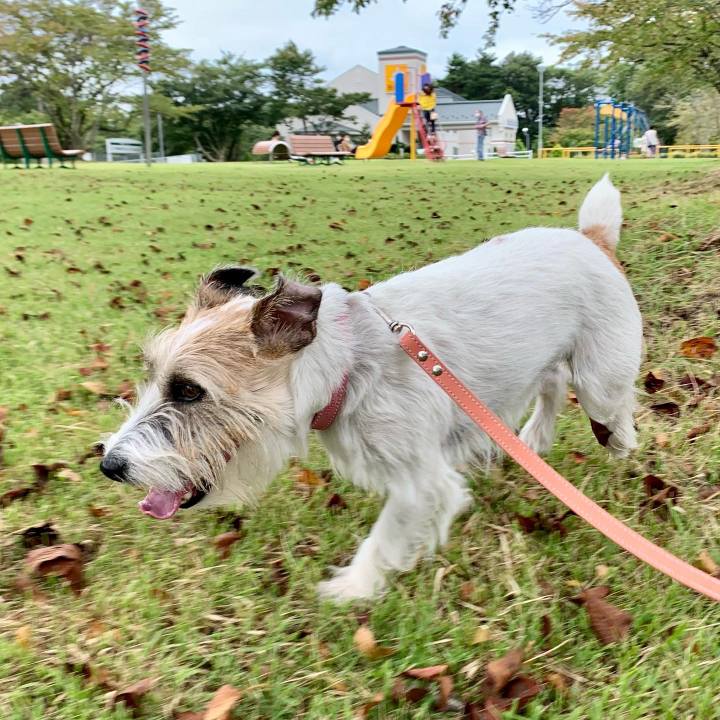 23badf48 5f30 4ac3 97ab 701c728bde50 1663483093963