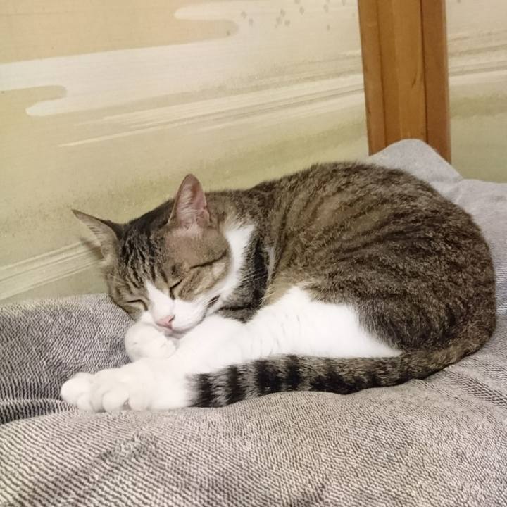 23bafa15 ae3c 43cf 9ea0 477084263302 1530885757586