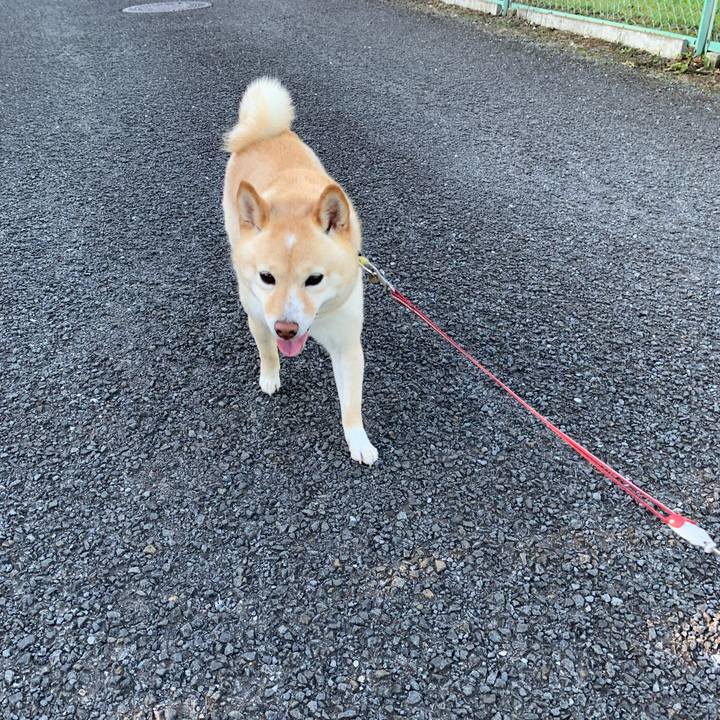 23bb6f50 d5d7 4000 90d8 06a5c4725e0a 1656120495377