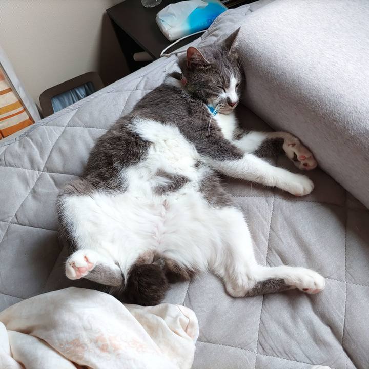 23bbad0b ff61 468f 8ff1 eeda7f6fbace 1687738571939