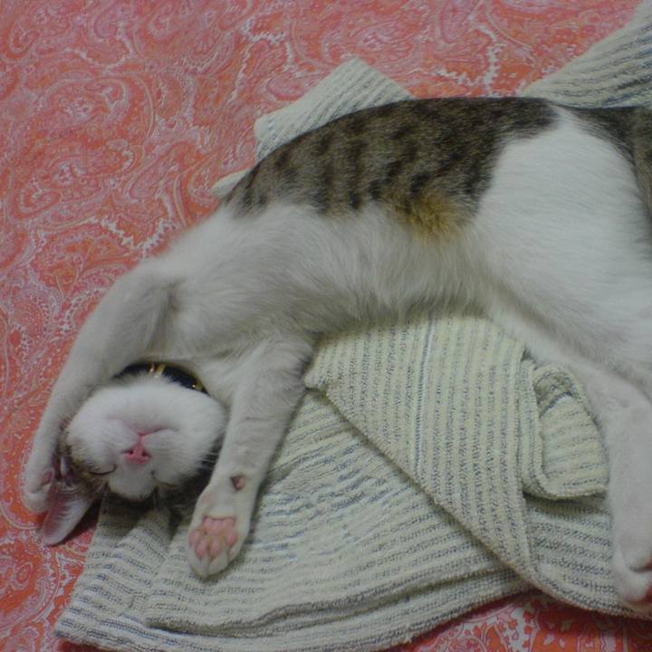 23bbc29b 343d 4dc0 af7f 7d1bb1ad8aff 1624159575081