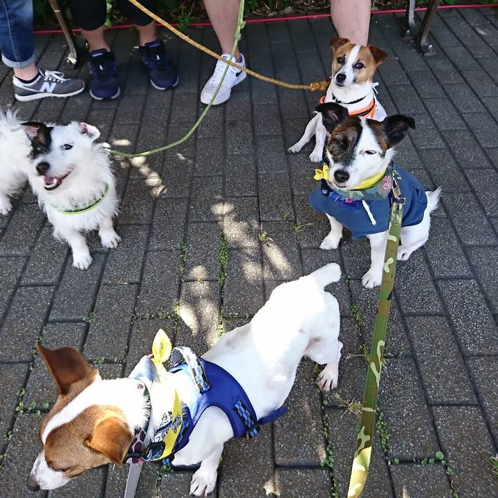 23bbd2f9 650d 45bf 9ffd c96c1f024a4b 1648217719154