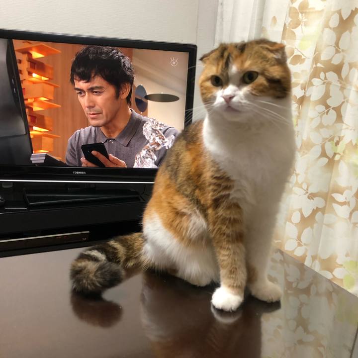 23bc10ec 52e0 46e9 9569 e37feb796235 1571146372768