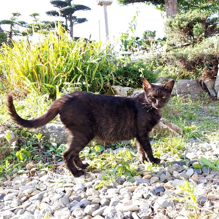 23bc211a 117a 47f4 9bfc abb86907b28b 1568851056313