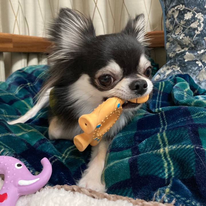 23bc3537 3e1e 4208 9669 d119b28551b1 1644673153072