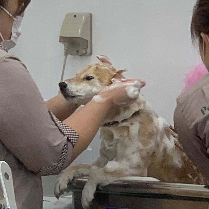 23bcae22 b6ae 40ce b07c 811dfdebb793 1579846649061