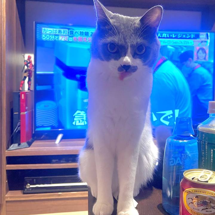 23bcd32e 6c5d 414a aa1d 459fe5dd5274 1630670777826