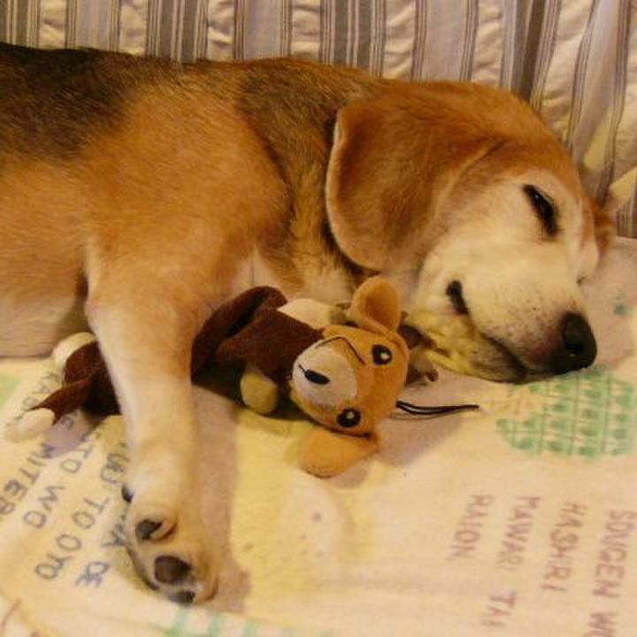 23bcdab6 696c 44d5 ad2e f98585f25cbc 1652921745049