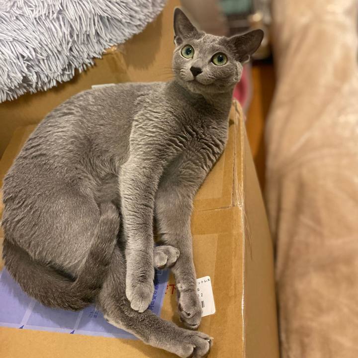 23bd0c02 b3d7 45d7 bcfe 24d159909503 1684812712501